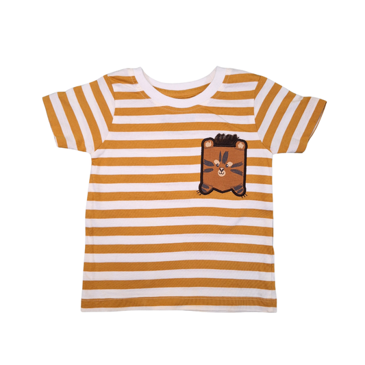 Stripes and Bear Set