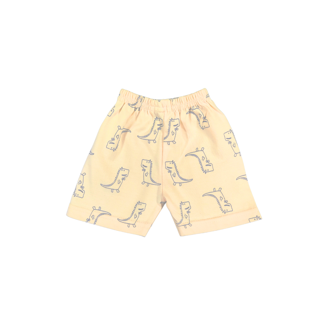 Dino Nightsuit