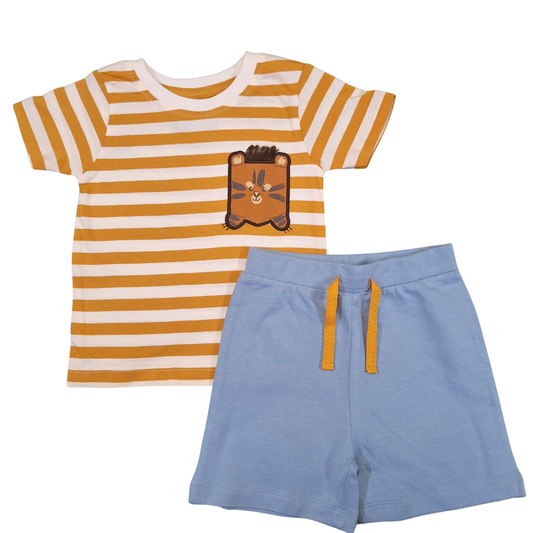 Stripes and Bear Set