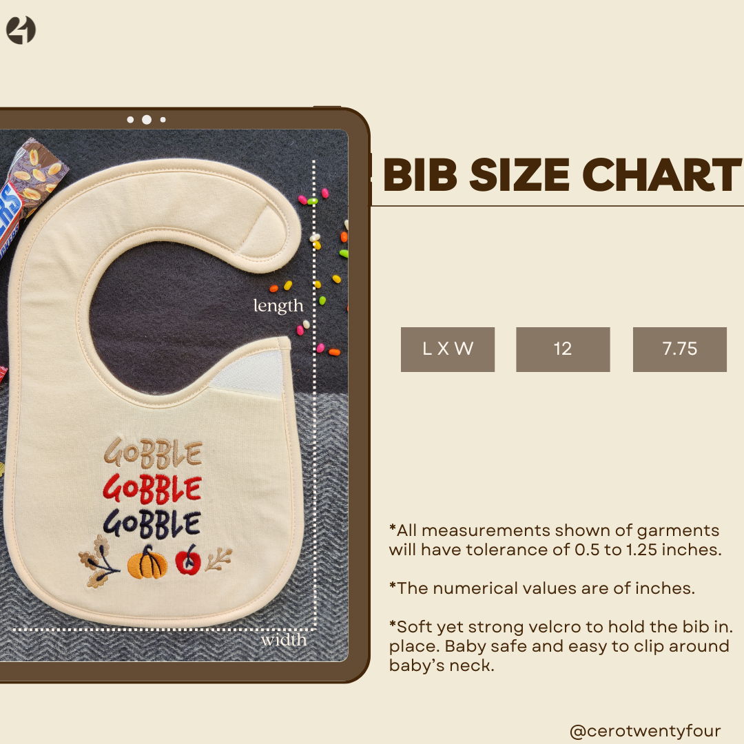 Tiny But Mighty Bib
